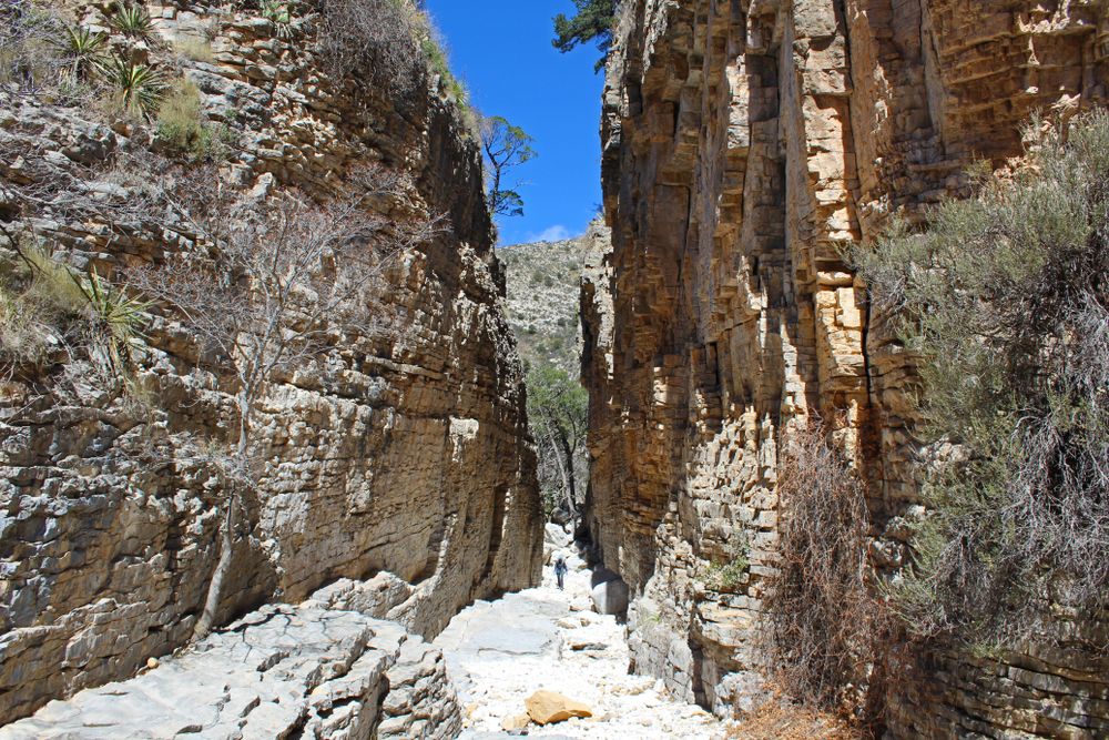 Daytime view of Devil's Hall Trail