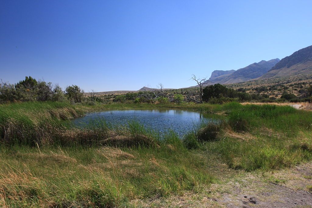 Daytime view of Manzanita Spring Trail