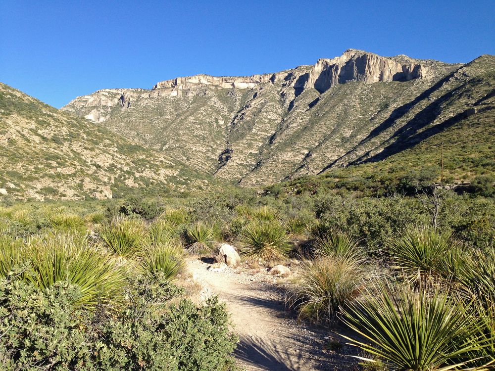Starting point of McKittrick Canyon Nature Trail