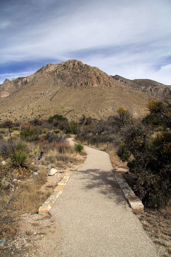 Daytime at Pinery Trail
