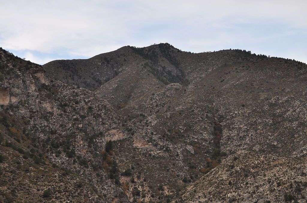Daytime view of Shumard Canyon Peak