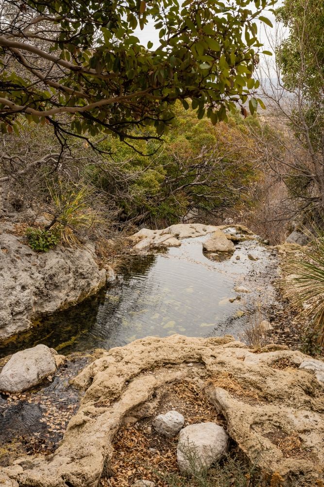 Pool of water at Smith Spring Trail