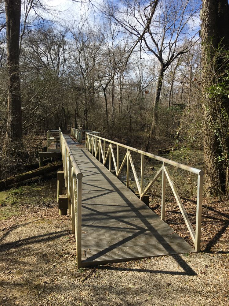 Wooden bridge leading to Grenada Lake