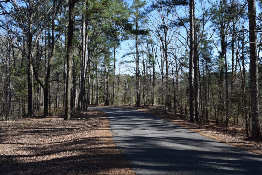The road of Hugh White State Park