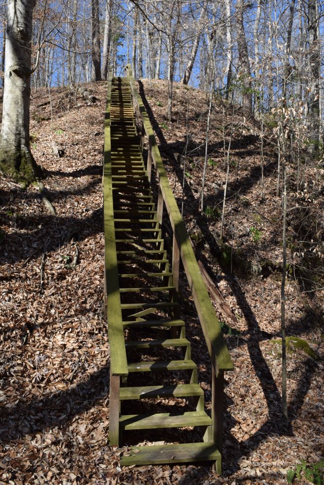 Steps at Lost Bluff Hiking Trail