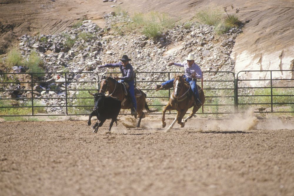 Participants at a roping competition at Gallup