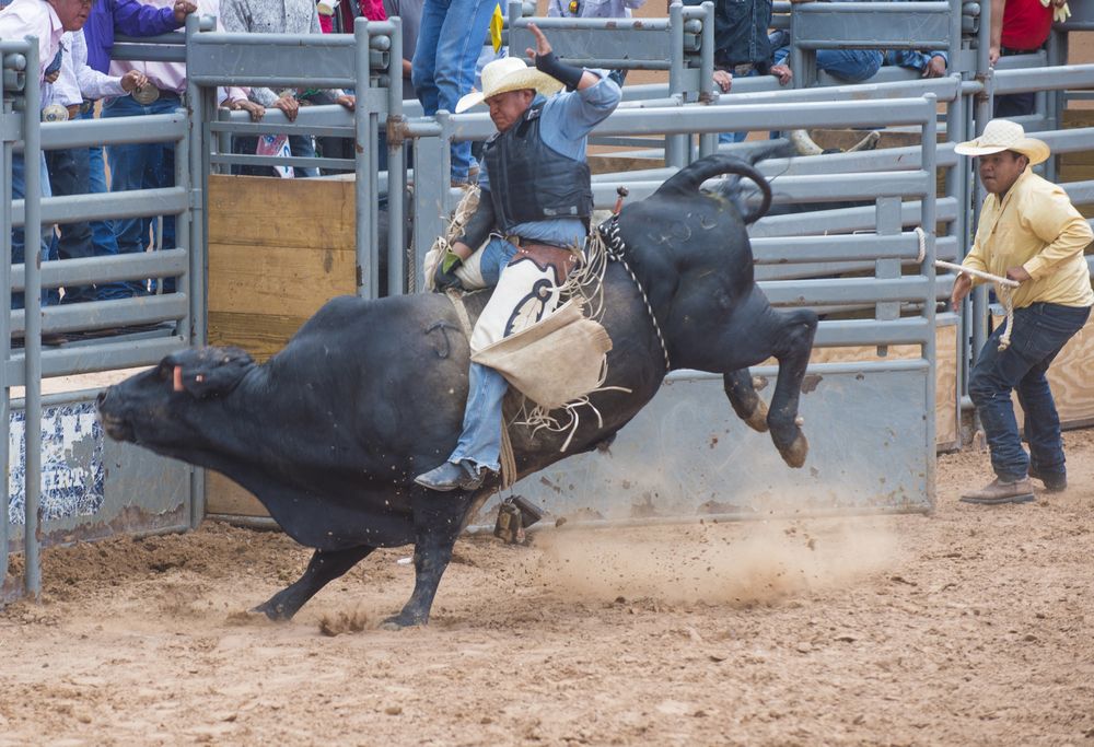Bull-riding at Gallup