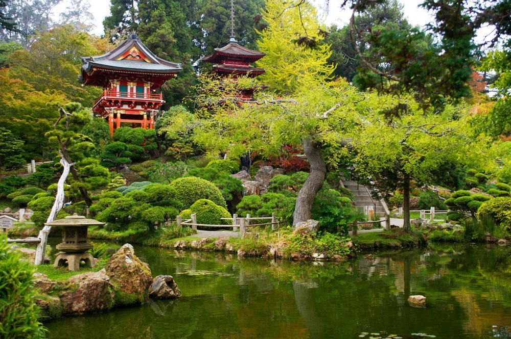 Japanese Tea Gardens Golden Gate Park