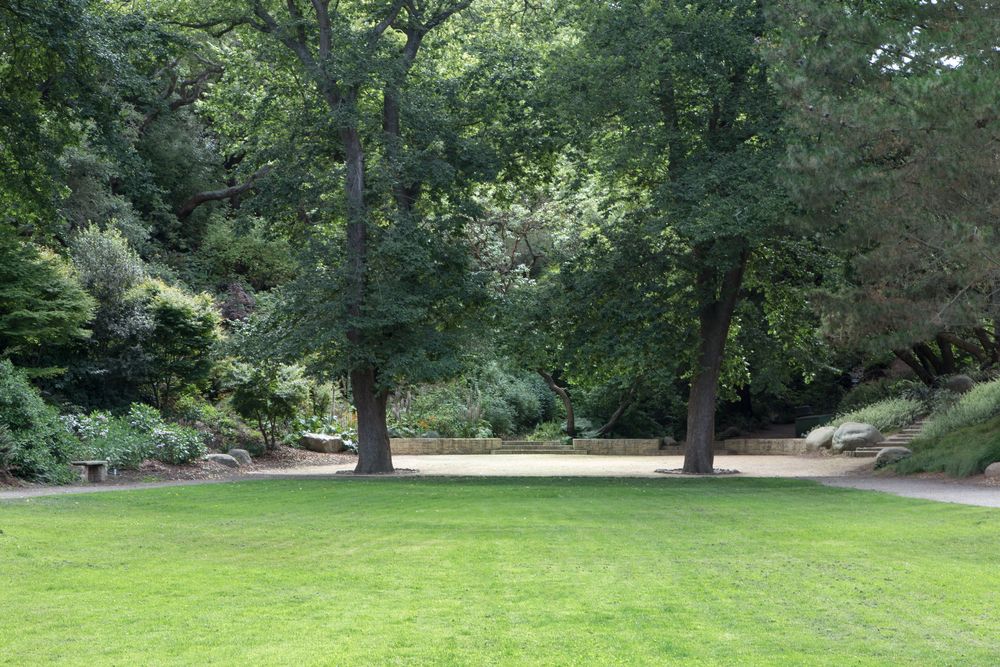 Open field of National AIDS Memorial Grove