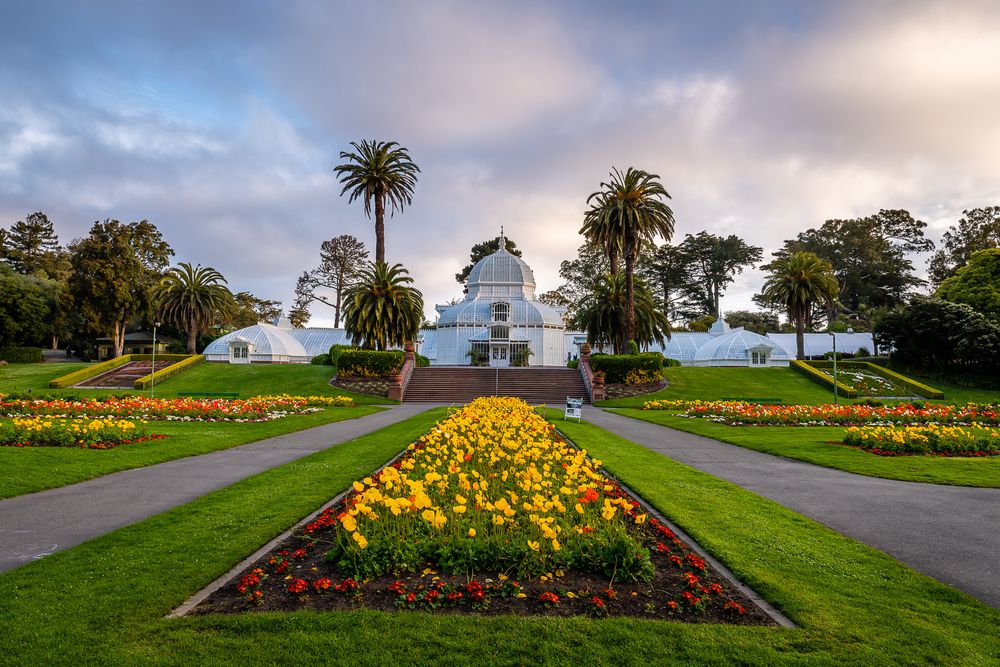 Flowers in front of Conservatory of Flowers