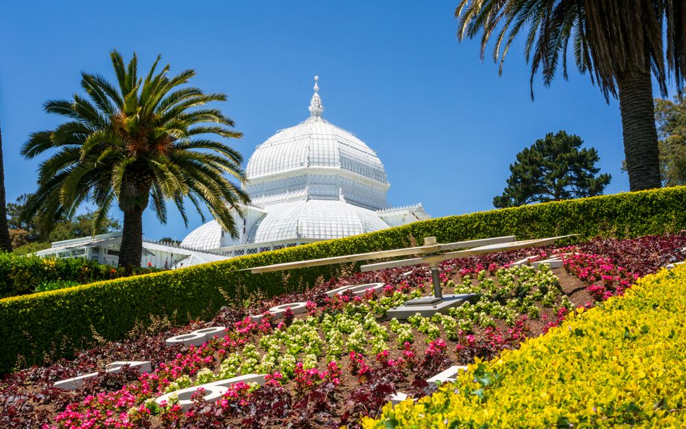 Vibrant flowers outside Conservatory of Flowers