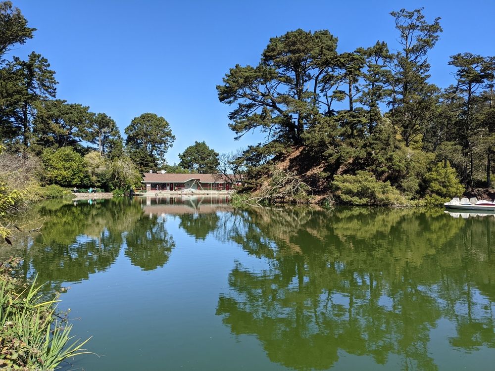 Trees reflecting on Stow Lake