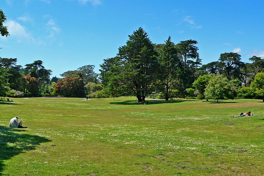 Great lawn of San Francisco Botanical Garden
