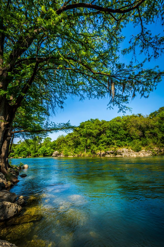 Trees framing the Guadalupe River