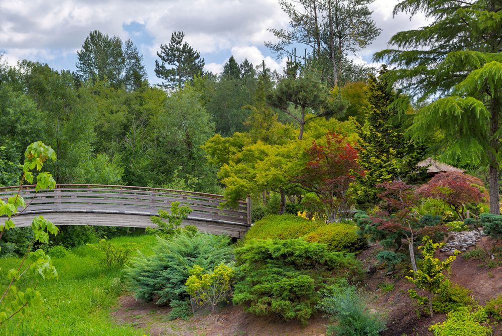 Japanese garden at Main City Park