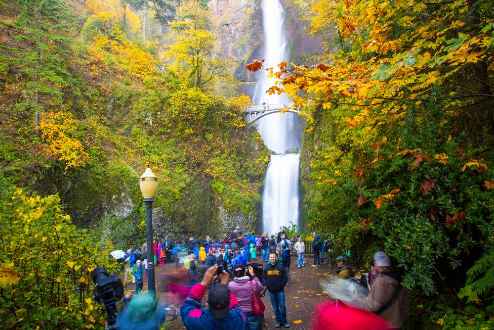 People admiring the Multnomah Falls