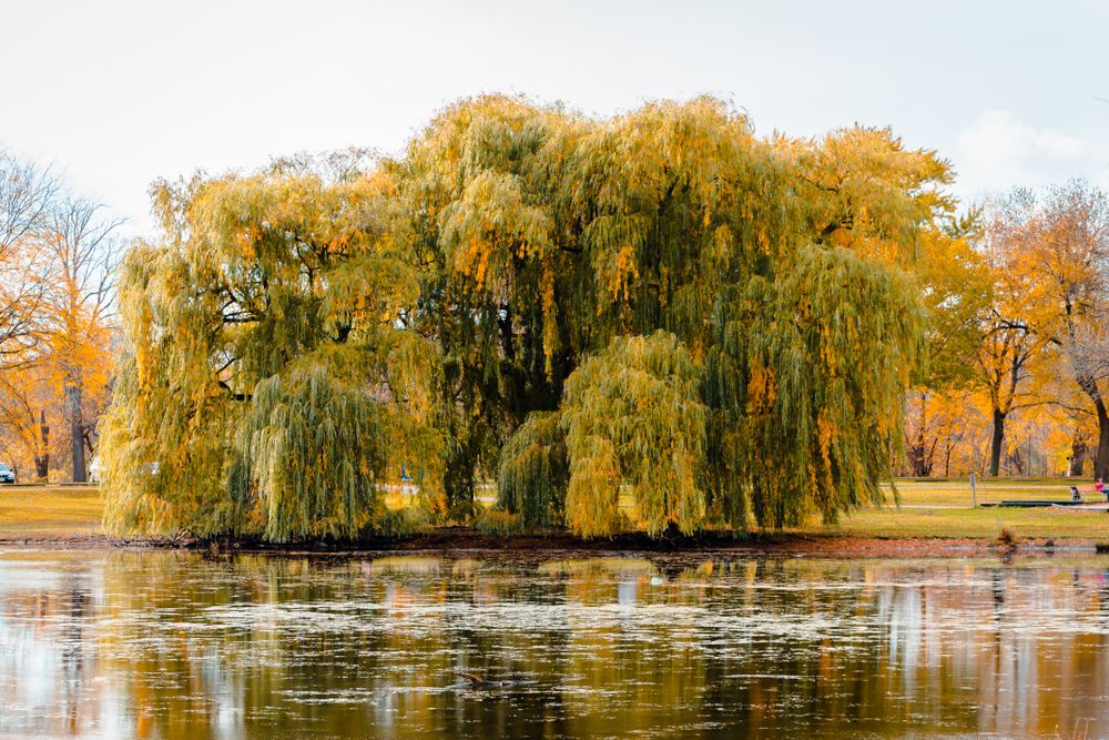 The waters of Riverside Park