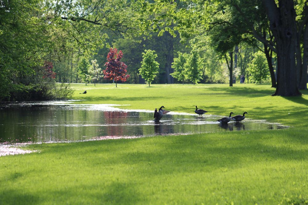 Scenic view of Riverside Park
