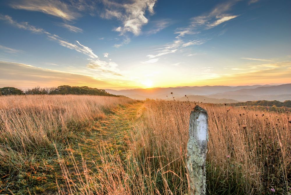 View of the sunset from Max Patch
