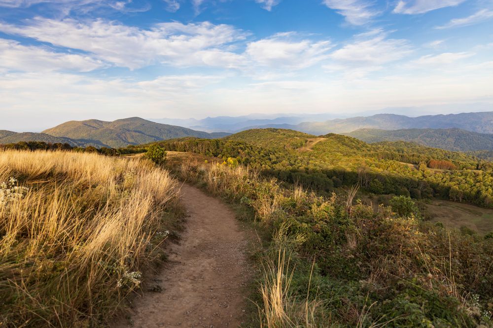 A trail at Max Patch