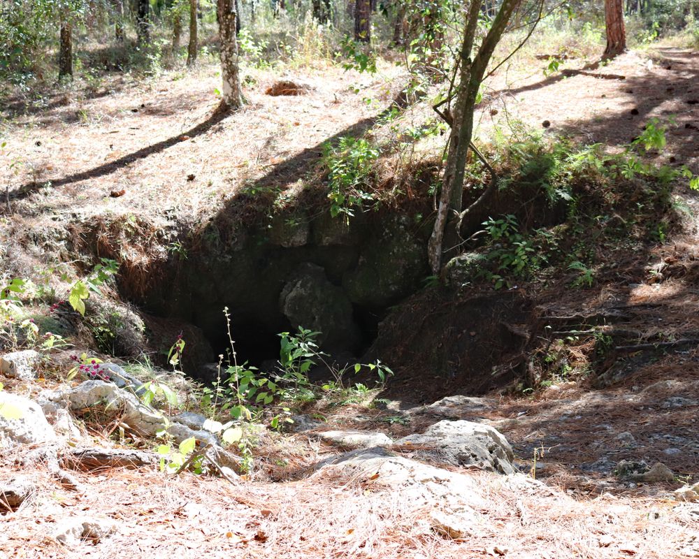 Vandal Cave in Withlacoochee State Forest
