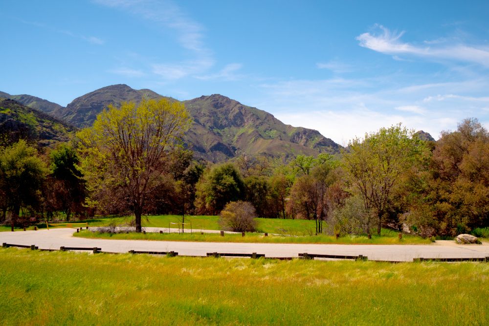 View of Calabasas Creek Park