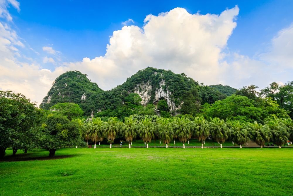 Lush landscape of Seven Star Park