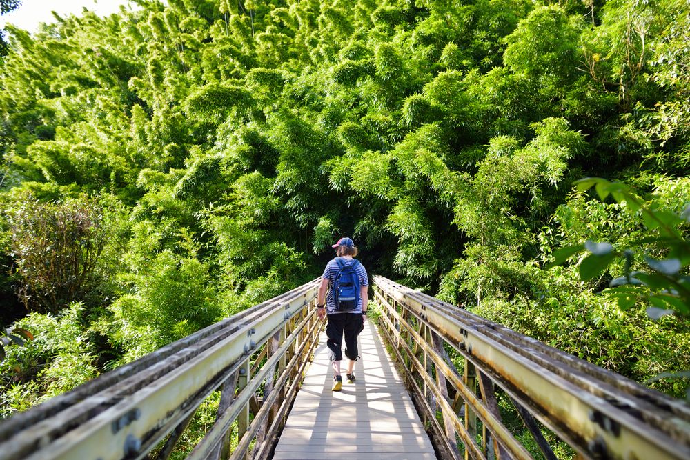 A person walking along Pipiwai Trail's path