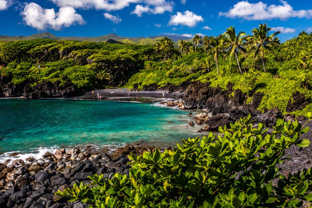 Scenic view of Waianapanapa State Park green trees, black sand and clear water