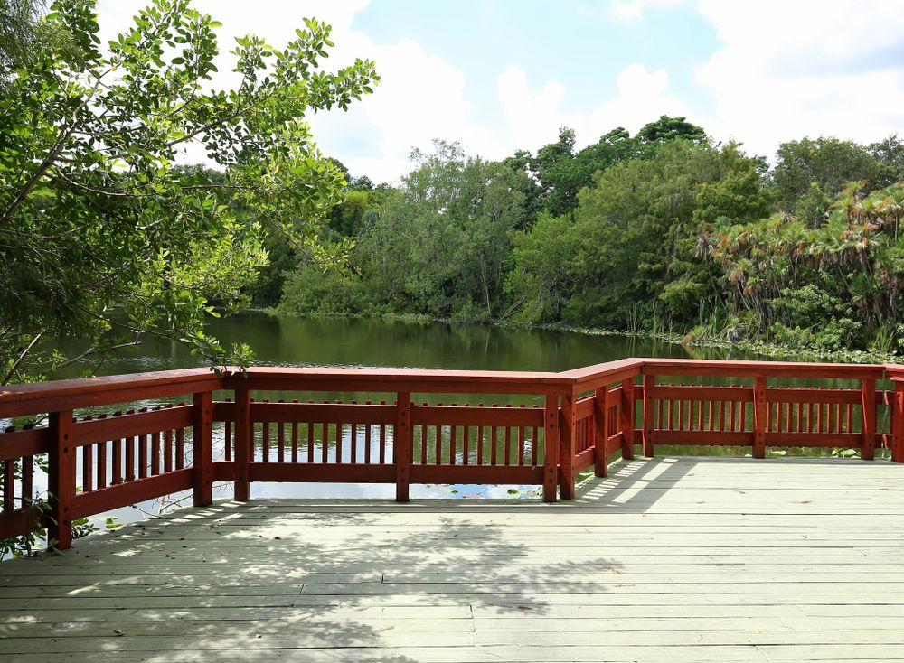 Deck overlook at Flamingo Gardens