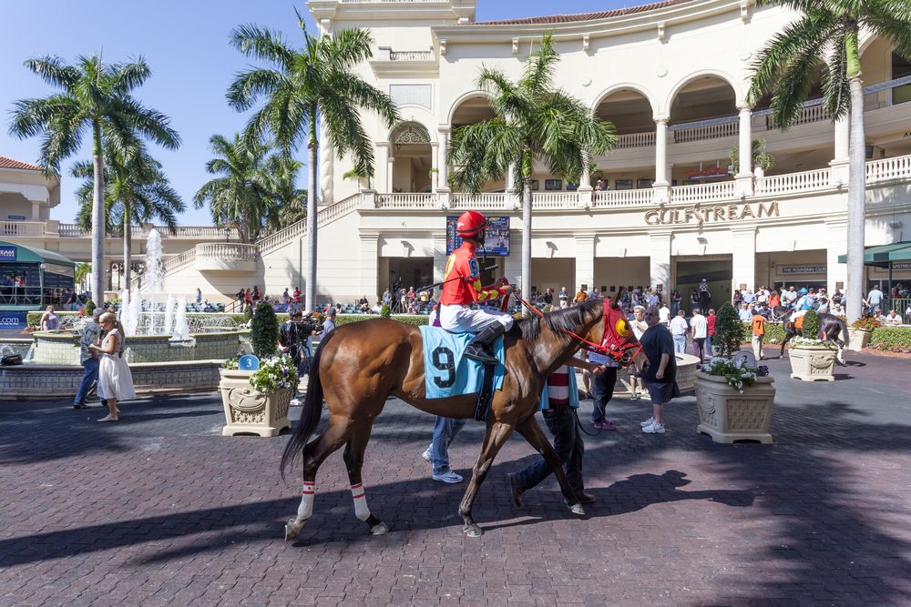 Horse show at Gulfstream Park Racing and Casino