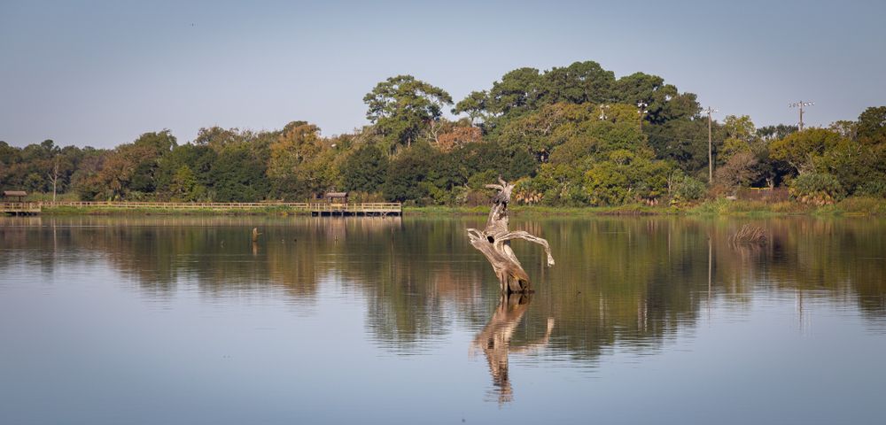 Waters of Armand Bayou Nature Center
