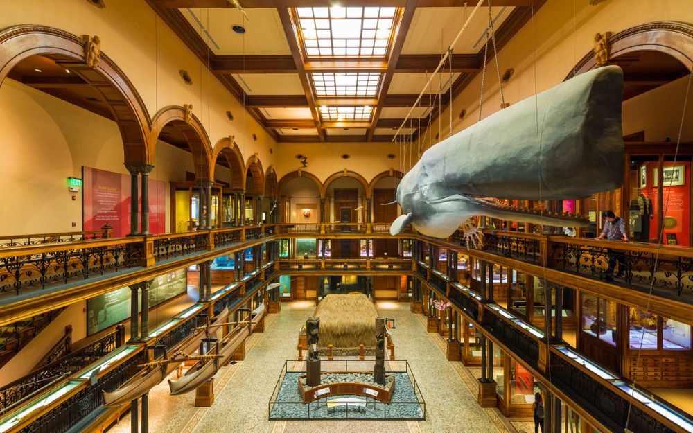 Interior of the Bishop Museum