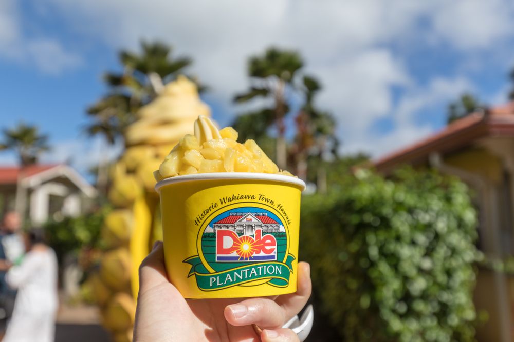 Pineapple ice cream at the Dole Plantation