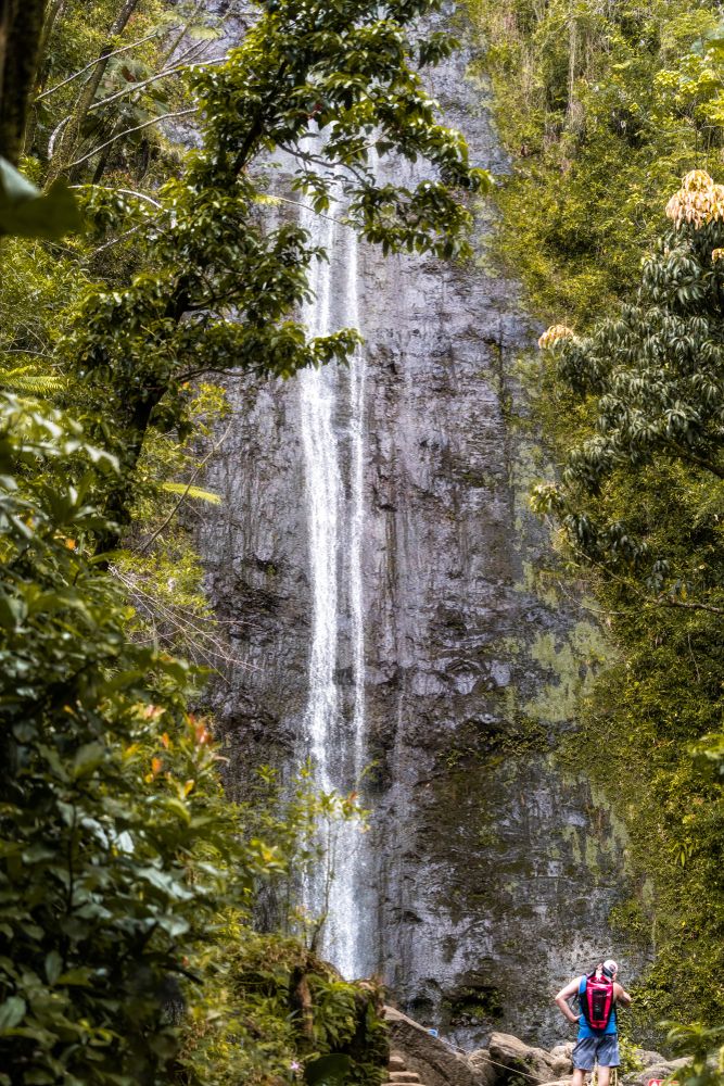 Cascades of Mānoa Falls