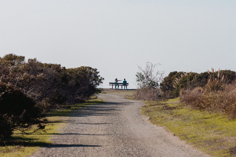 Bench at the end of Hayward Regional Shoreline's trail
