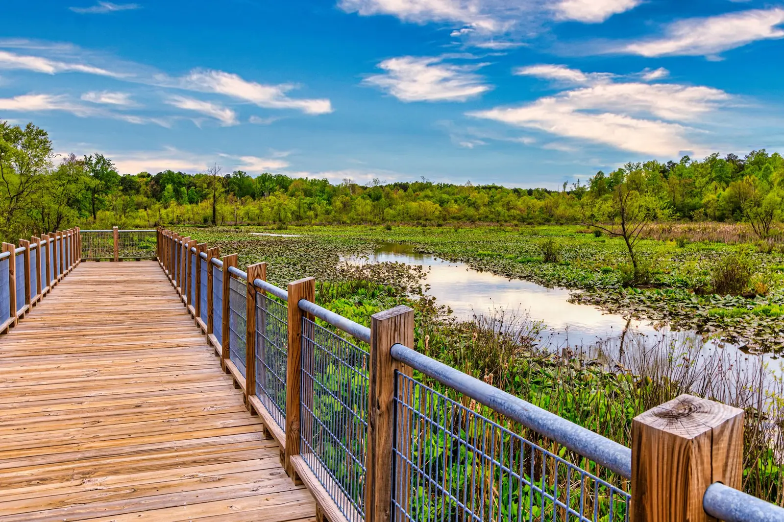 15 Best Things to Do in Henrico, VA