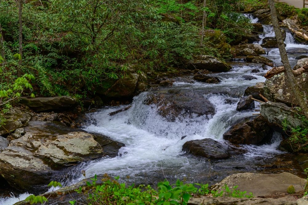Downstream of Anna Ruby Falls