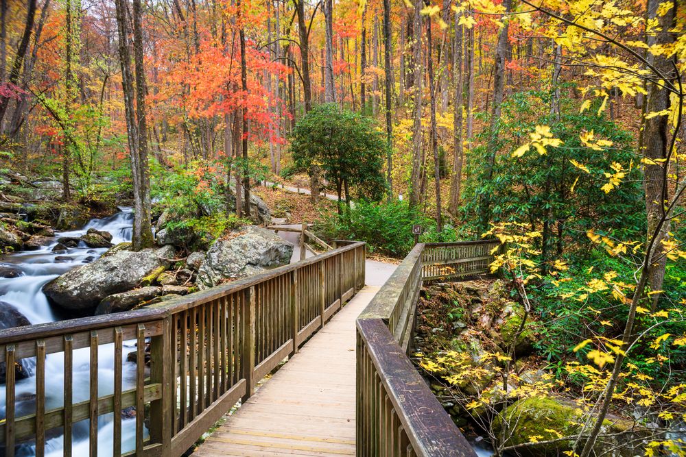 Boardwalk at Unicoi State Park & Lodge