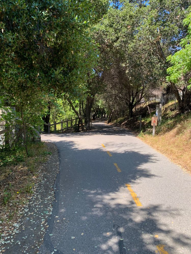 View of Stevens Creek Trail