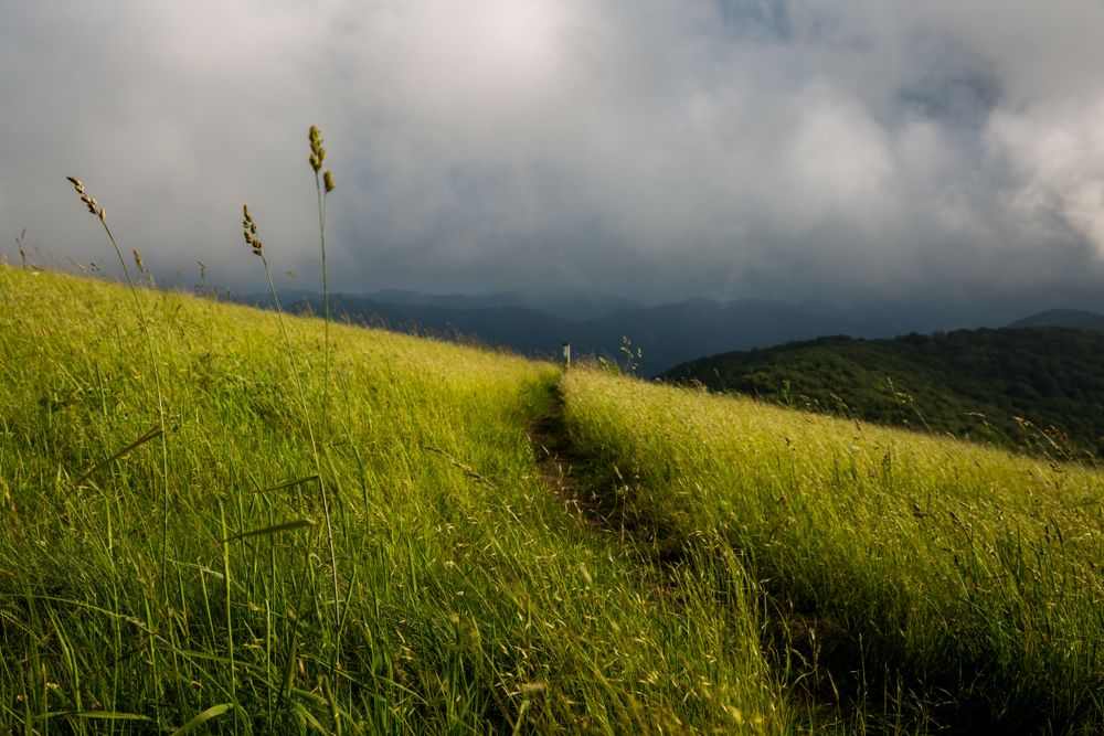 Daytime views along Appalachian Trail