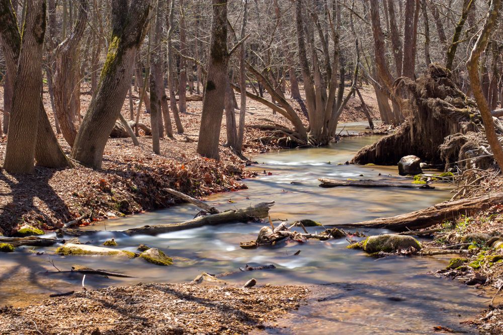 Daytime view of Panther Creek State Park