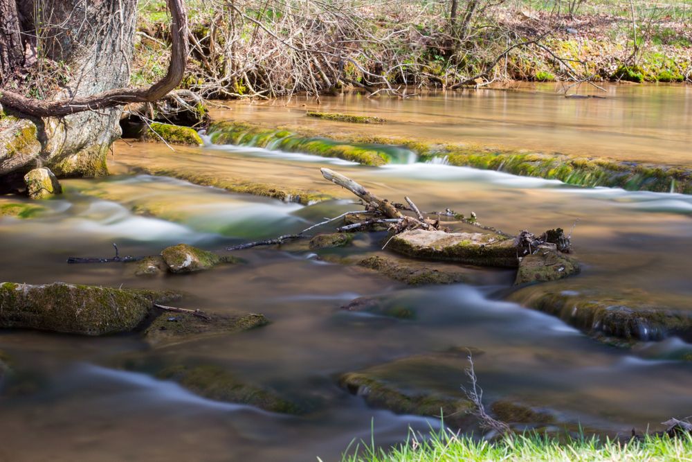 View of Panther Creek State Park