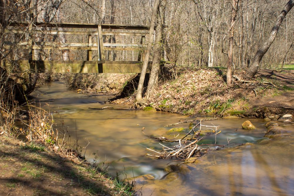 The waters of Panther Creek State Park
