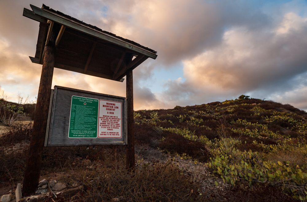 View of Santiago Oaks Regional Park