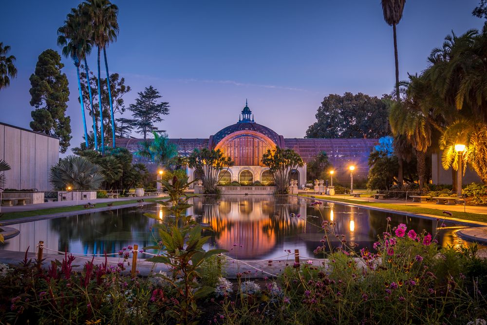 Night lights of a botanical garden in Balboa Park