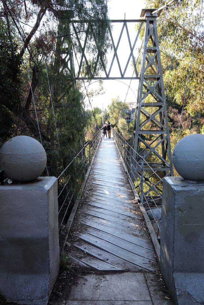 People in the middle of Spruce Street Suspension Bridge
