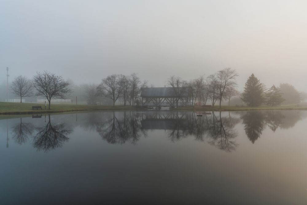 Misty morning at Homestead Metro Park