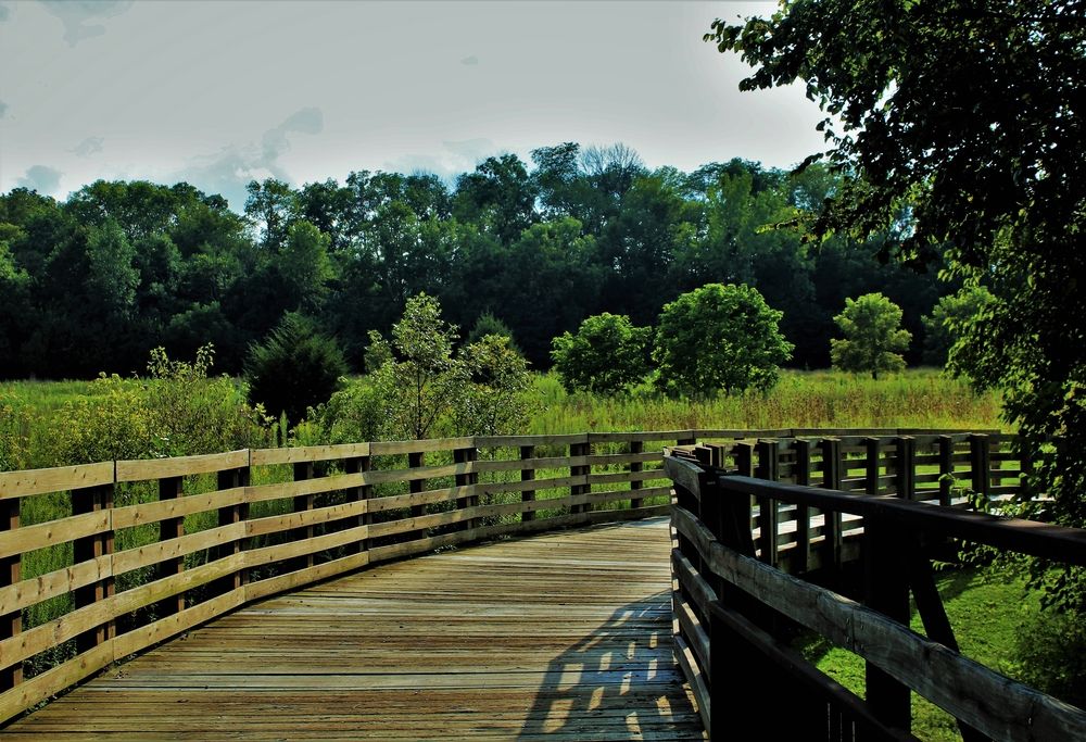 A boardwalk at Prairie Oaks Metro Park