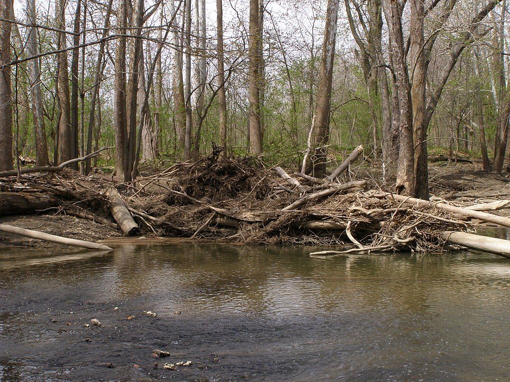 The waters of Miami Treaty Grounds below Forks of the Wabash